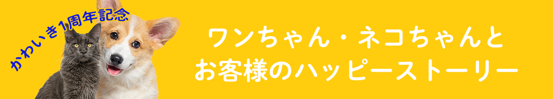1周年特集